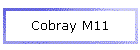 Cobray M11